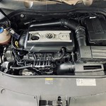 VW Passat Alltrack 2.0 TSI mit LPG, Autogas